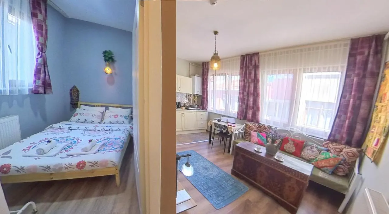 Elele Boutique Aparts Istanbulská provincie Turecko